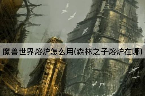 魔兽世界熔炉使用指南(森林之子熔炉位置)