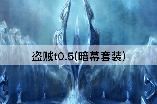 盗贼t0.5(夜影套装)