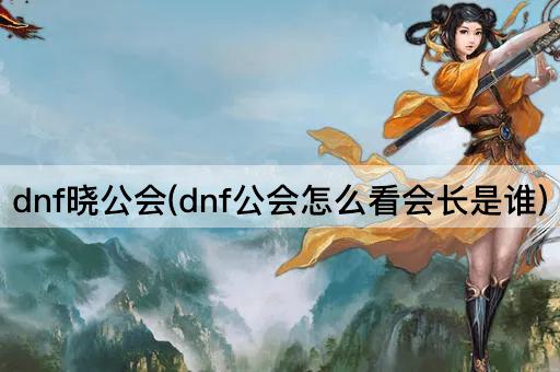 dnf晓公会(dnf公会怎么看会长是谁)