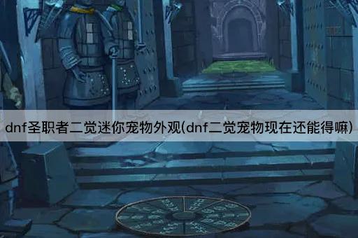 dnf圣职者二觉迷你宠物外观(dnf二觉宠物现在还能得嘛)