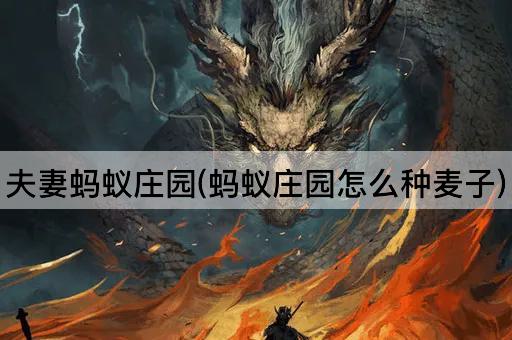 夫妻蚂蚁庄园(蚂蚁庄园怎么种麦子)