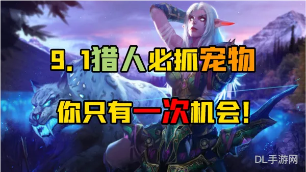 wow猎人必抓五只宠物(10.0兽王猎人宝宝推荐)