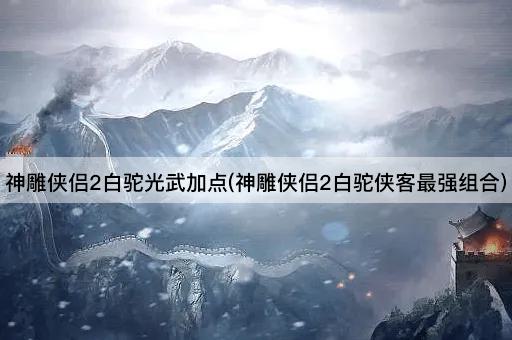 神雕侠侣2白驼光武加点(神雕侠侣2白驼侠客最强组合)