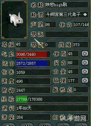 问道敏水怎么加点(敏水的最佳加点)