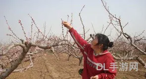 仙剑98柔情版桃花林怎么过(仙剑98桃源村攻略地图)