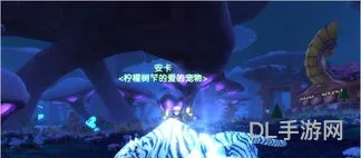 猎人亡灵宝宝有哪些(猎人十大稀有亡灵宠物)