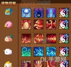 造梦西游3宠物奥义被刷掉了(造梦西游ol挂机刷经验)