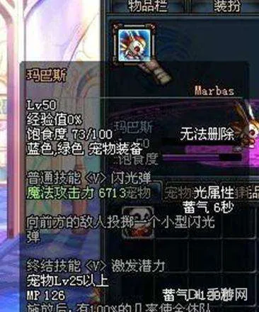地下城白兔子宠物属性(dnf白兔子宠物叫什么名字)