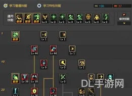 dnf圣骑士技能加点(DNF圣骑士60版本流派加点)