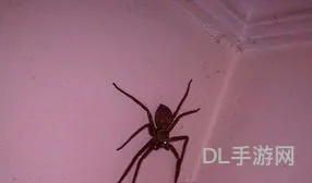 古剑奇谭1玉蜘蛛怎么获得(古剑奇谭1安陆在哪进家园)
