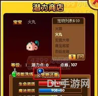 造梦西游3宠物潜力点怎么刷(造梦西游3宠物经验在哪得最快)