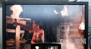 PC大型3D游戏(大型3d网络游戏有哪些)