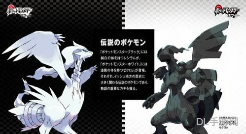 口袋妖怪黑白多尔奈洛斯怎么抓