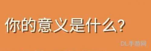 你的意义是什么鬼东西测试入口(你是由什么组成的测试网站)