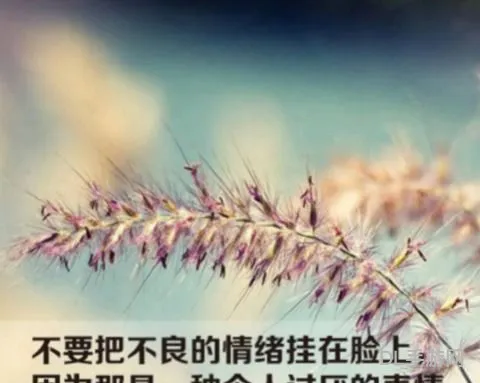最透彻的人生感悟(励志的人生感悟句子)