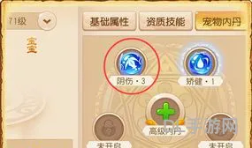 召唤兽内丹领悟技巧(内丹怎么快速到5层)