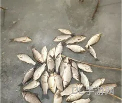 钓鱼的方法与技巧(钓鱼调漂的正确方法视频教程)