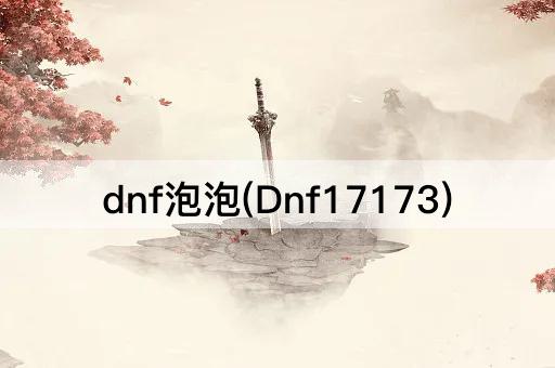 dnf泡泡(Dnf17173)