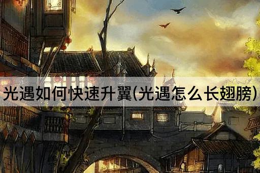 光遇如何快速升翼(光遇怎么长翅膀)