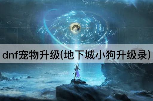 dnf宠物升级(地下城小狗升级录)
