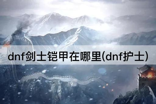 dnf剑士铠甲在哪里(dnf护士)