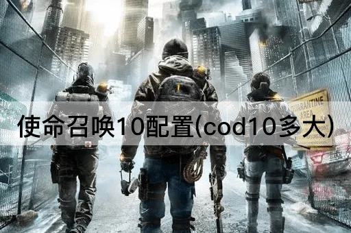 使命召唤10配置(cod10多大)