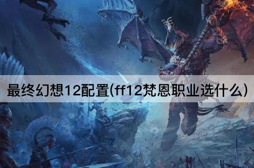 最终幻想12配置(ff12梵恩职业选什么)