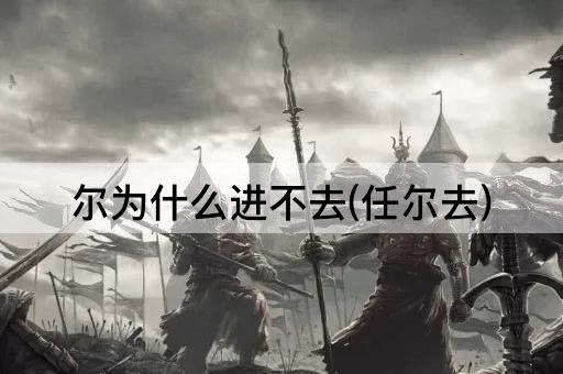尔为什么进不去(任尔去)