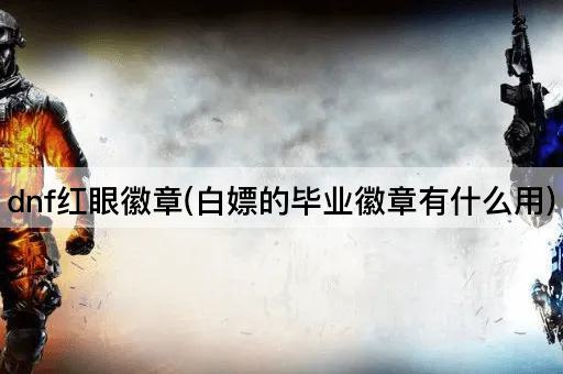 dnf红眼徽章(白嫖的毕业徽章有什么用)