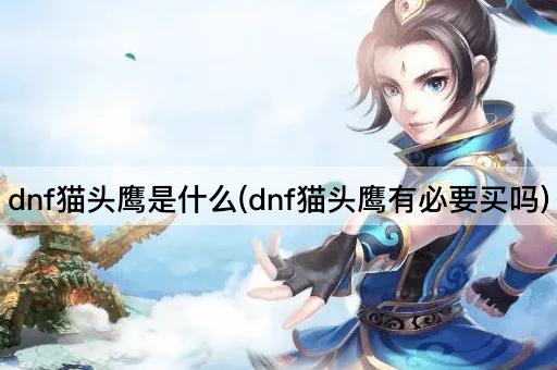 dnf猫头鹰是什么(dnf猫头鹰有必要买吗)