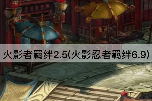 火影者羁绊2.5(火影忍者羁绊6.9)