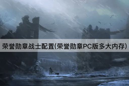 荣誉勋章战士配置(荣誉勋章PC版多大内存)