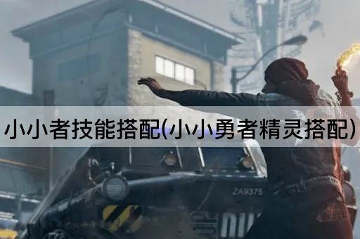 小小者技能搭配(小小勇者精灵搭配)