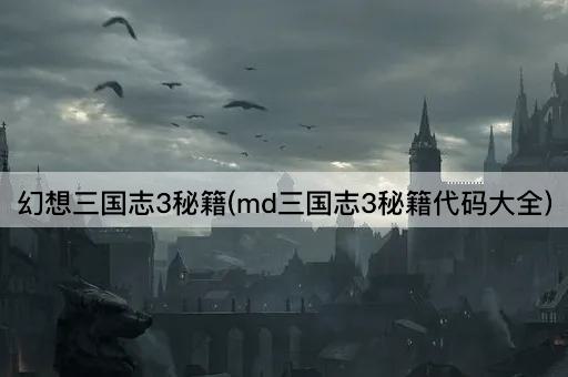 幻想三国志3秘籍(md三国志3秘籍代码大全)