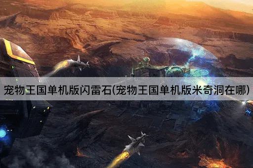 宠物王国单机版闪雷石(宠物王国单机版米奇洞在哪)