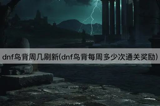 dnf鸟背周几刷新(dnf鸟背每周多少次通关奖励)