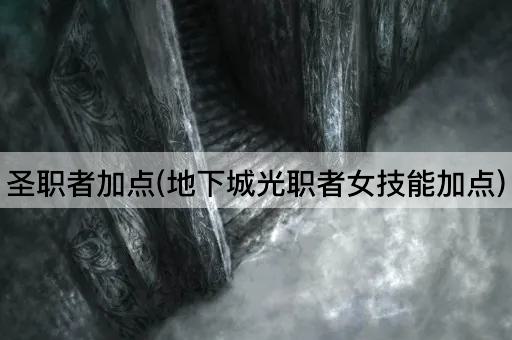 圣职者加点(地下城光职者女技能加点)