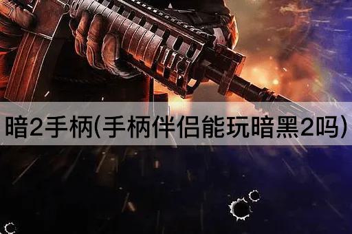暗2手柄(手柄伴侣能玩暗黑2吗)