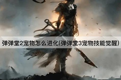 弹弹堂2宠物怎么进化(弹弹堂3宠物技能觉醒)