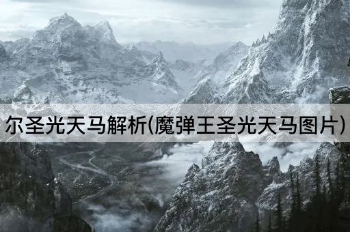 尔圣光天马解析(魔弹王圣光天马图片)