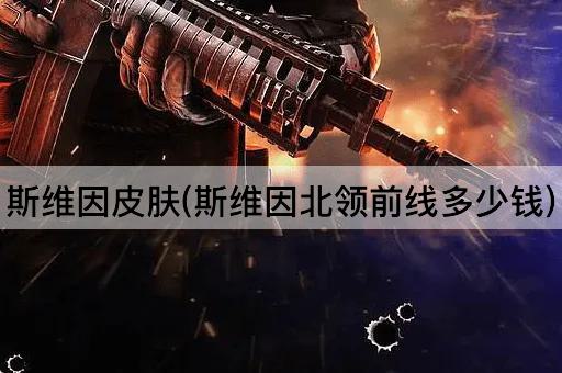 斯维因皮肤(斯维因北领前线多少钱)