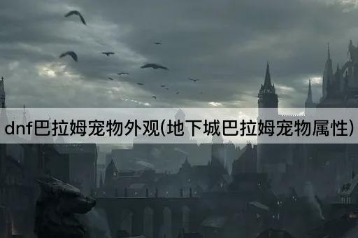 dnf巴拉姆宠物外观(地下城巴拉姆宠物属性)