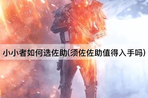 小小者如何选佐助(须佐佐助值得入手吗)