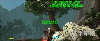 灵魂兽大角天赋怎么加点(wlk灵魂兽)